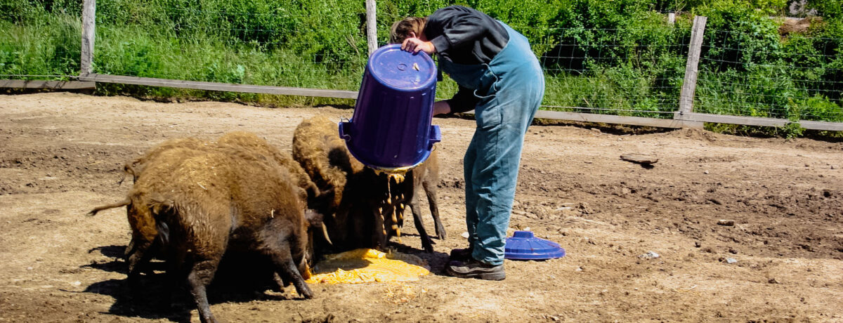 Jugendhilfe Tagesbetreuung Tierversorgung